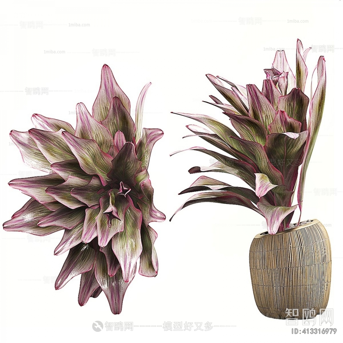 Modern Ground Green Plant Potted Plants