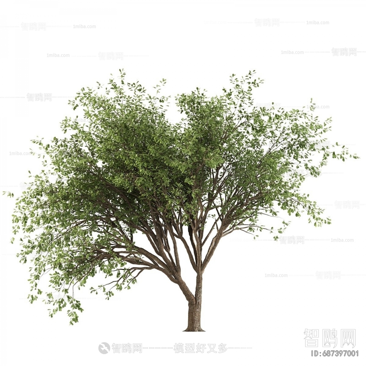 现代景观树组合