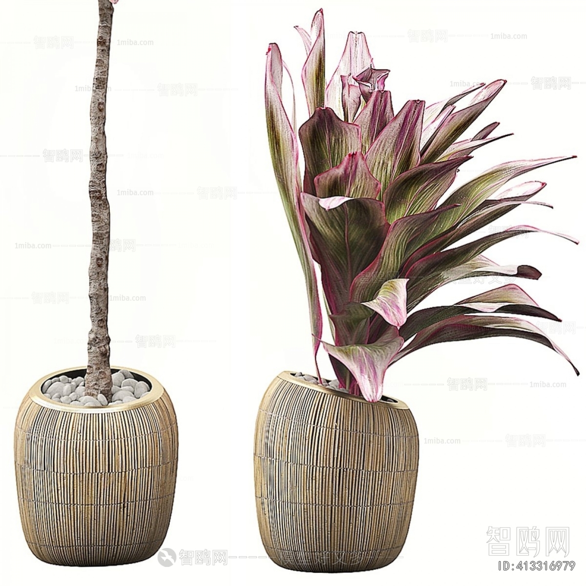 Modern Ground Green Plant Potted Plants