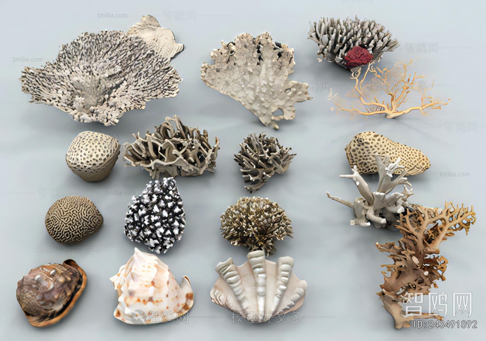 Modern Aquatic Animals