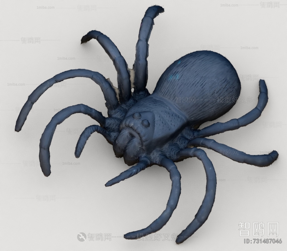 Modern Other Animals