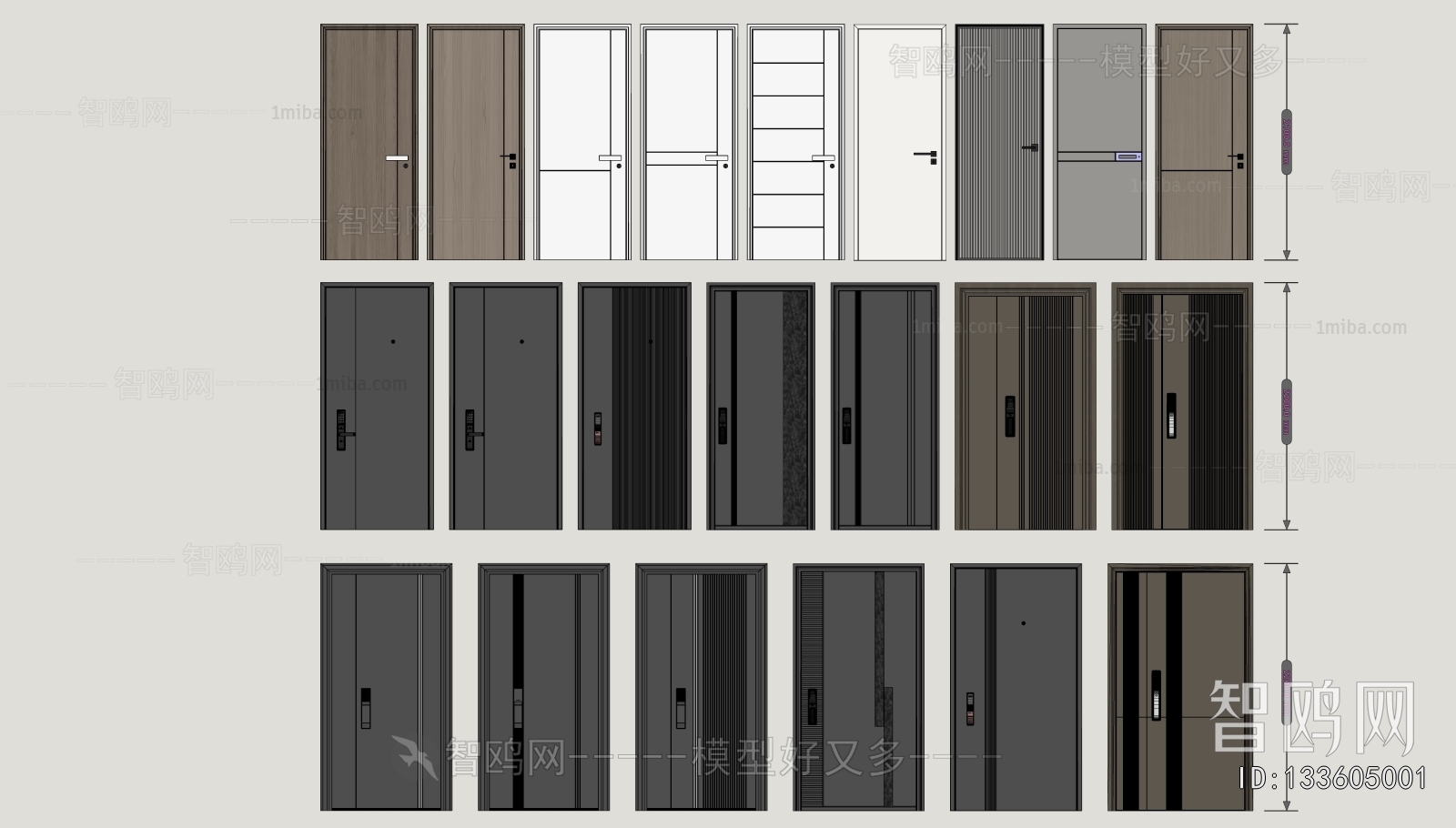 Modern Entrance Door