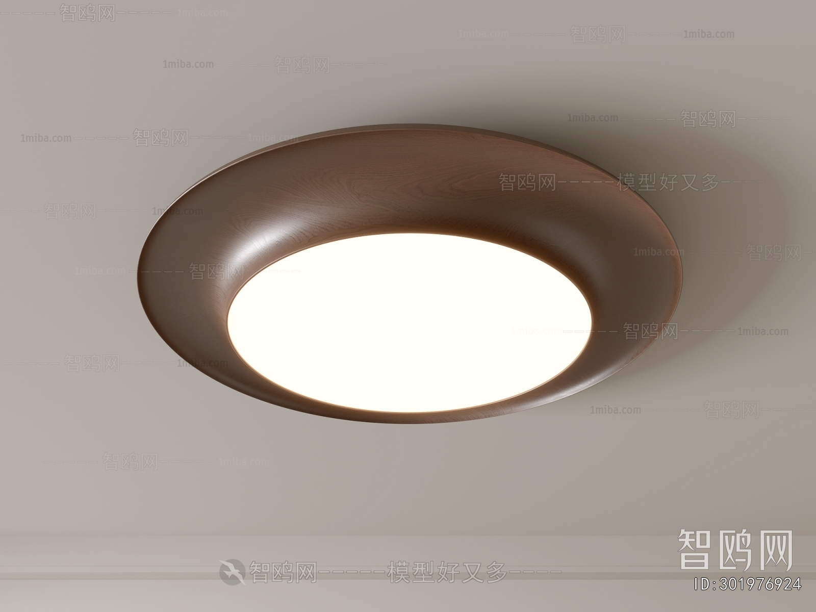 Modern Ceiling Ceiling Lamp