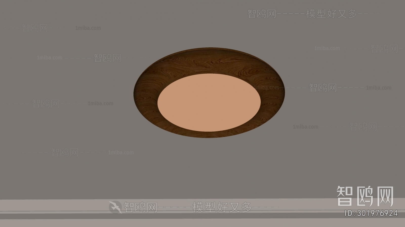 Modern Ceiling Ceiling Lamp