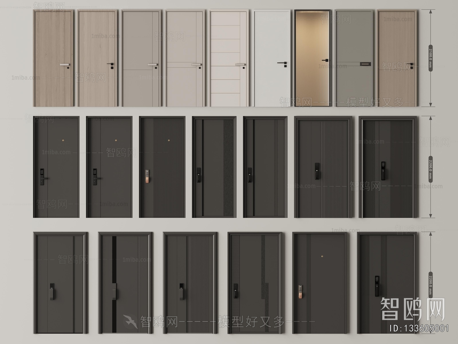 Modern Entrance Door