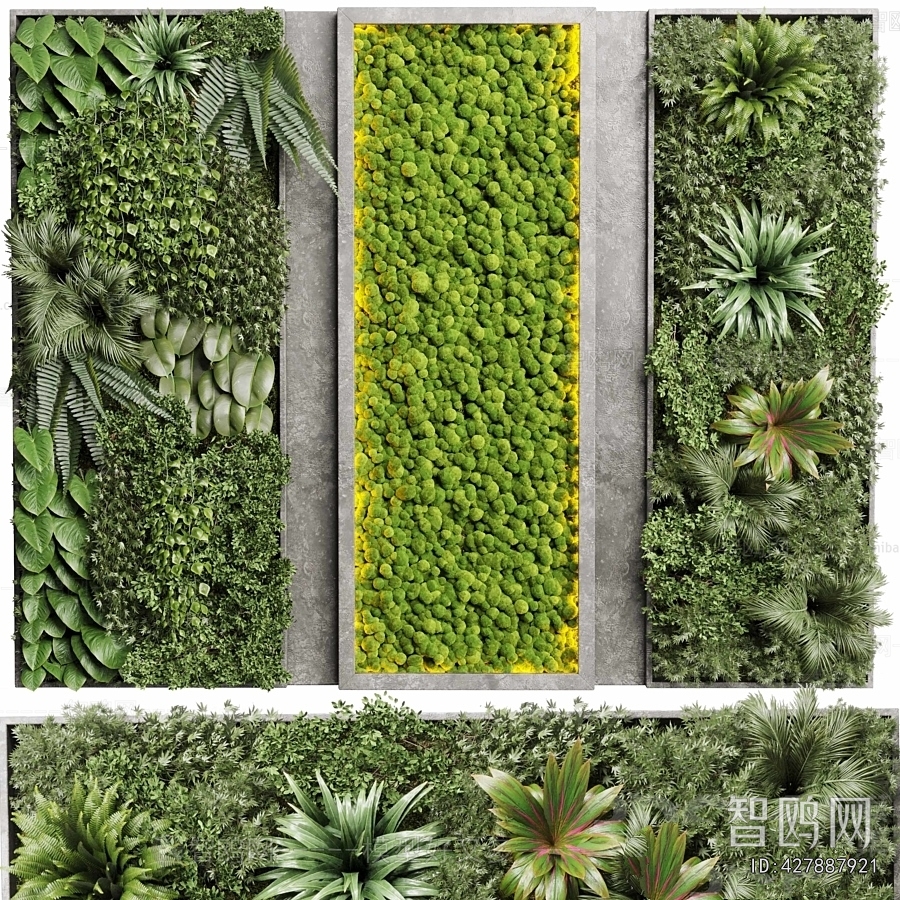 Modern Plant Wall