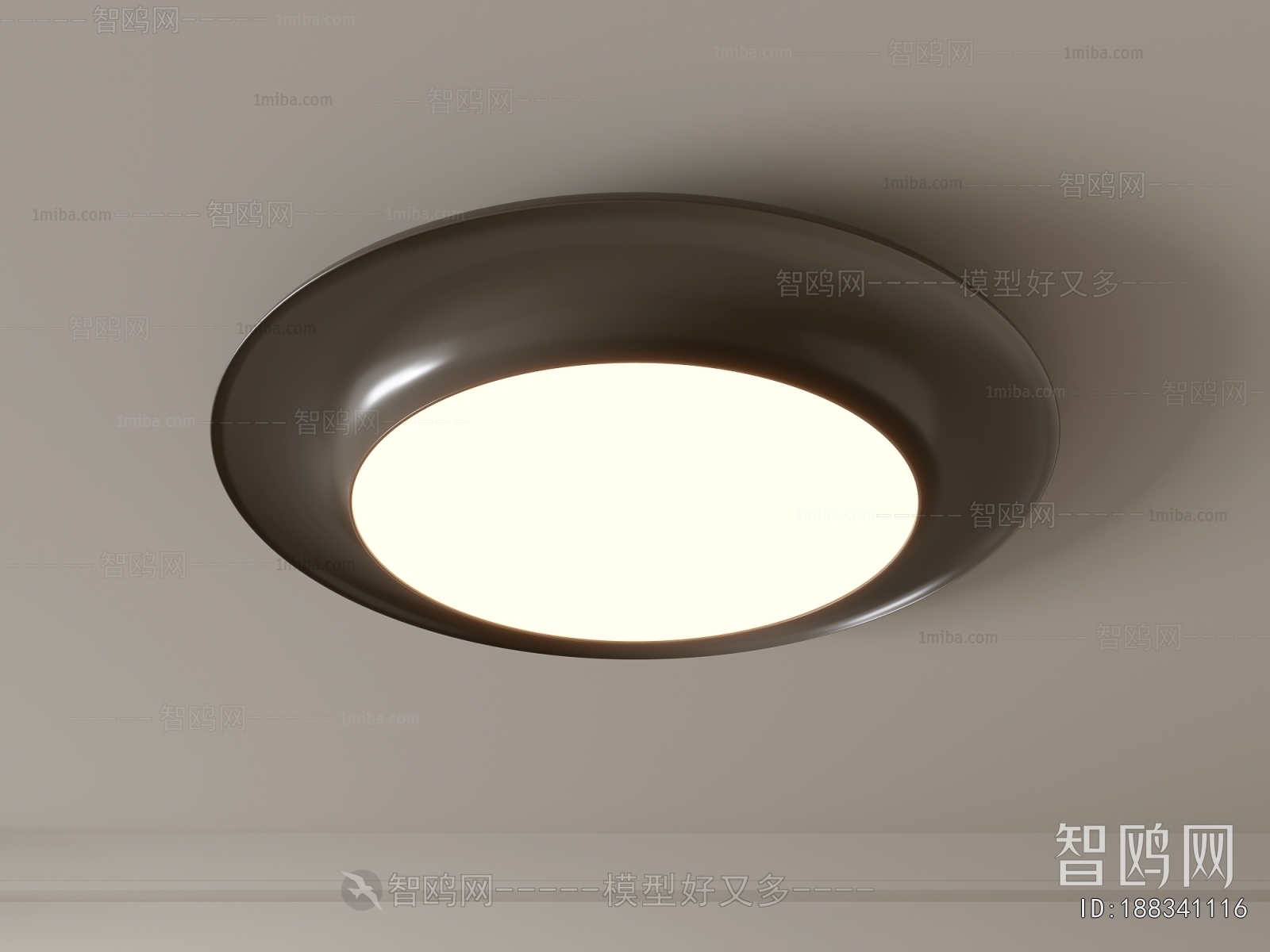 Modern Ceiling Ceiling Lamp