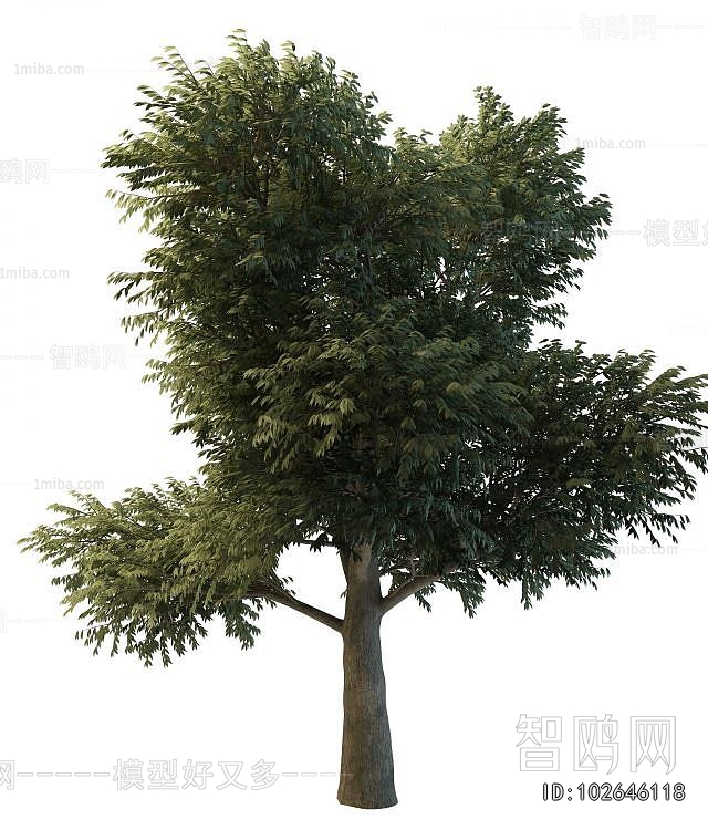 Modern Tree