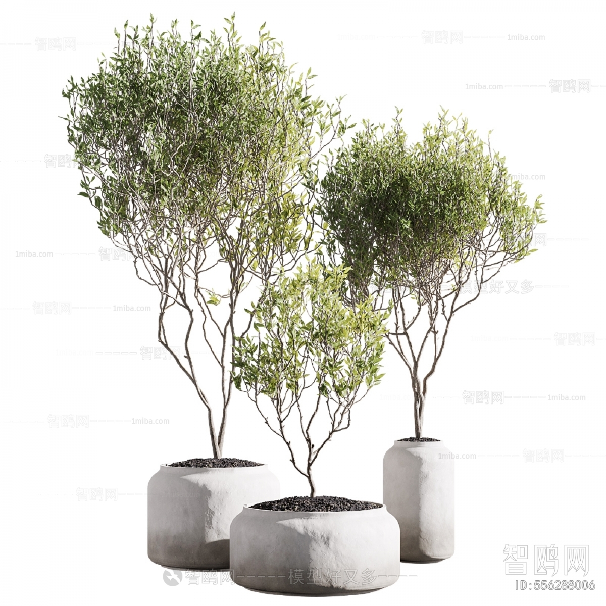Modern Ground Green Plant Potted Plants