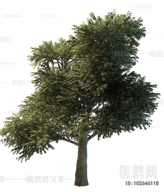 Modern Tree