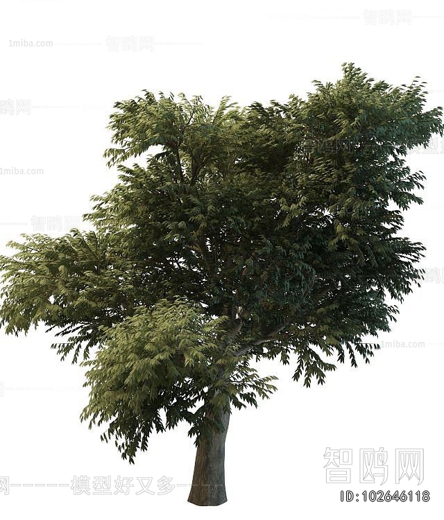 Modern Tree