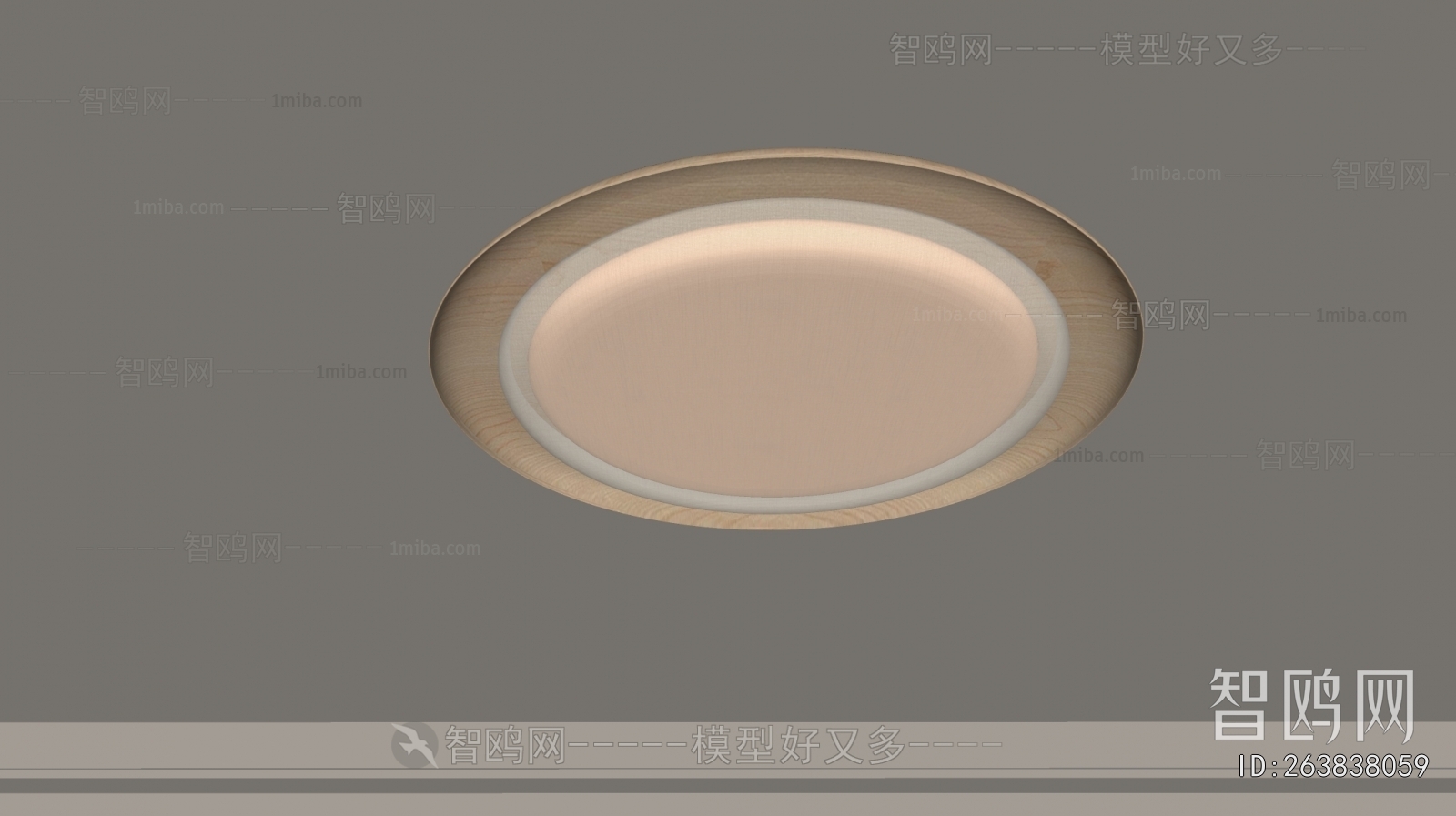 Modern Ceiling Ceiling Lamp