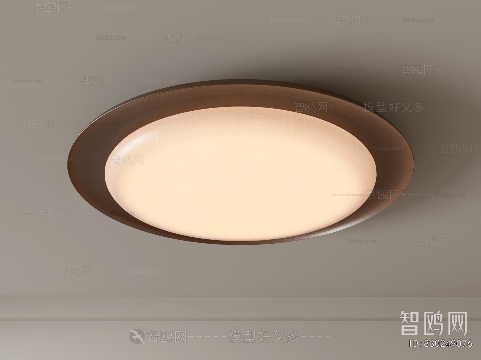 Modern Ceiling Ceiling Lamp