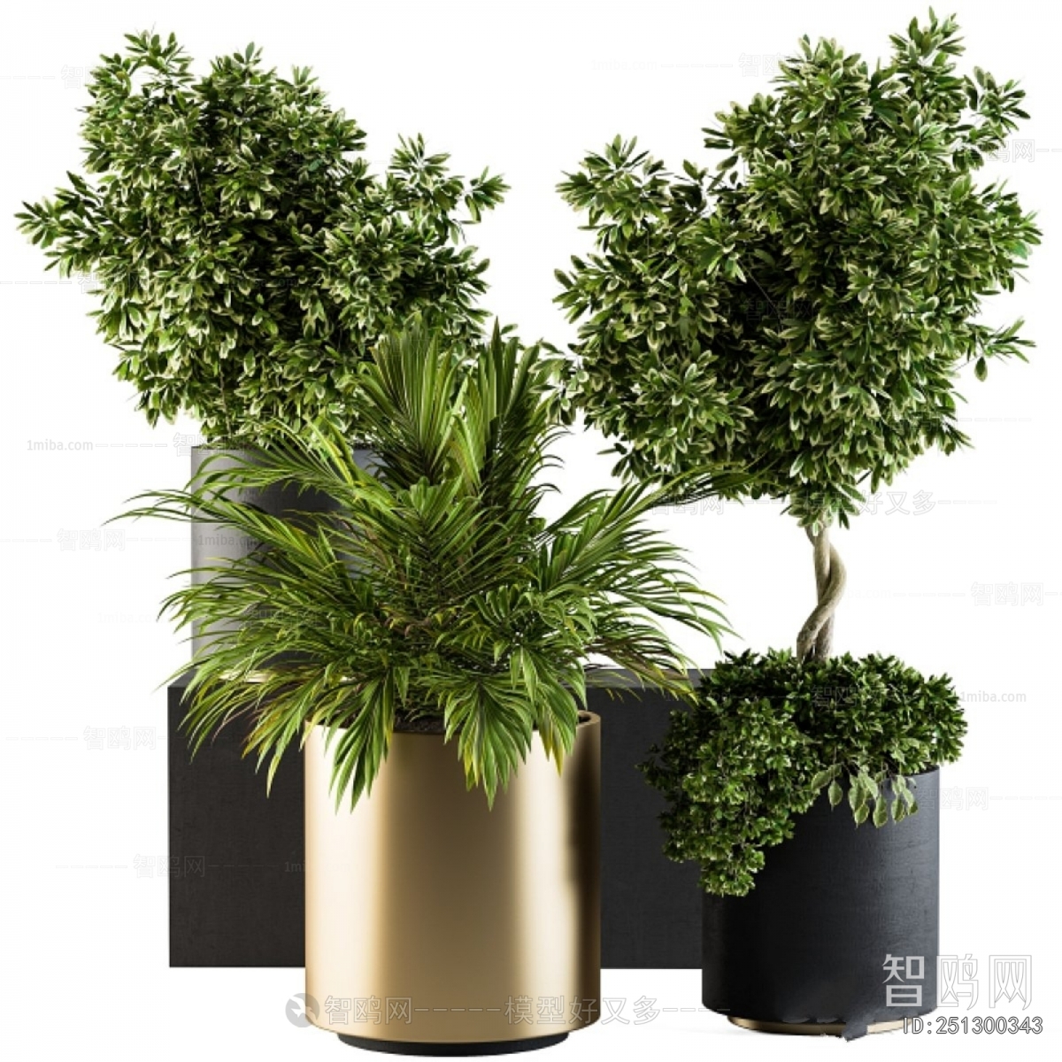 Modern Ground Green Plant Potted Plants