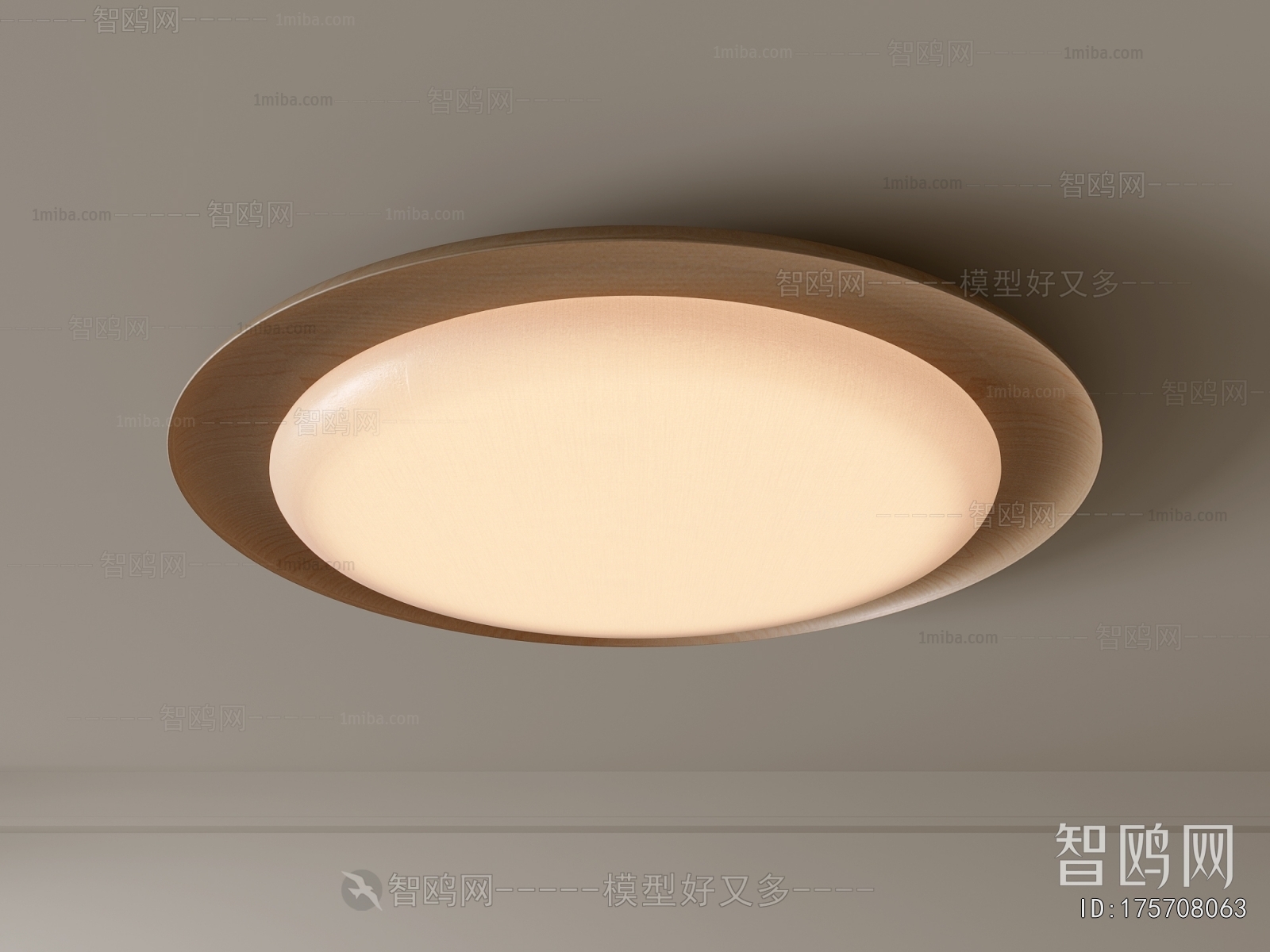 Modern Ceiling Ceiling Lamp