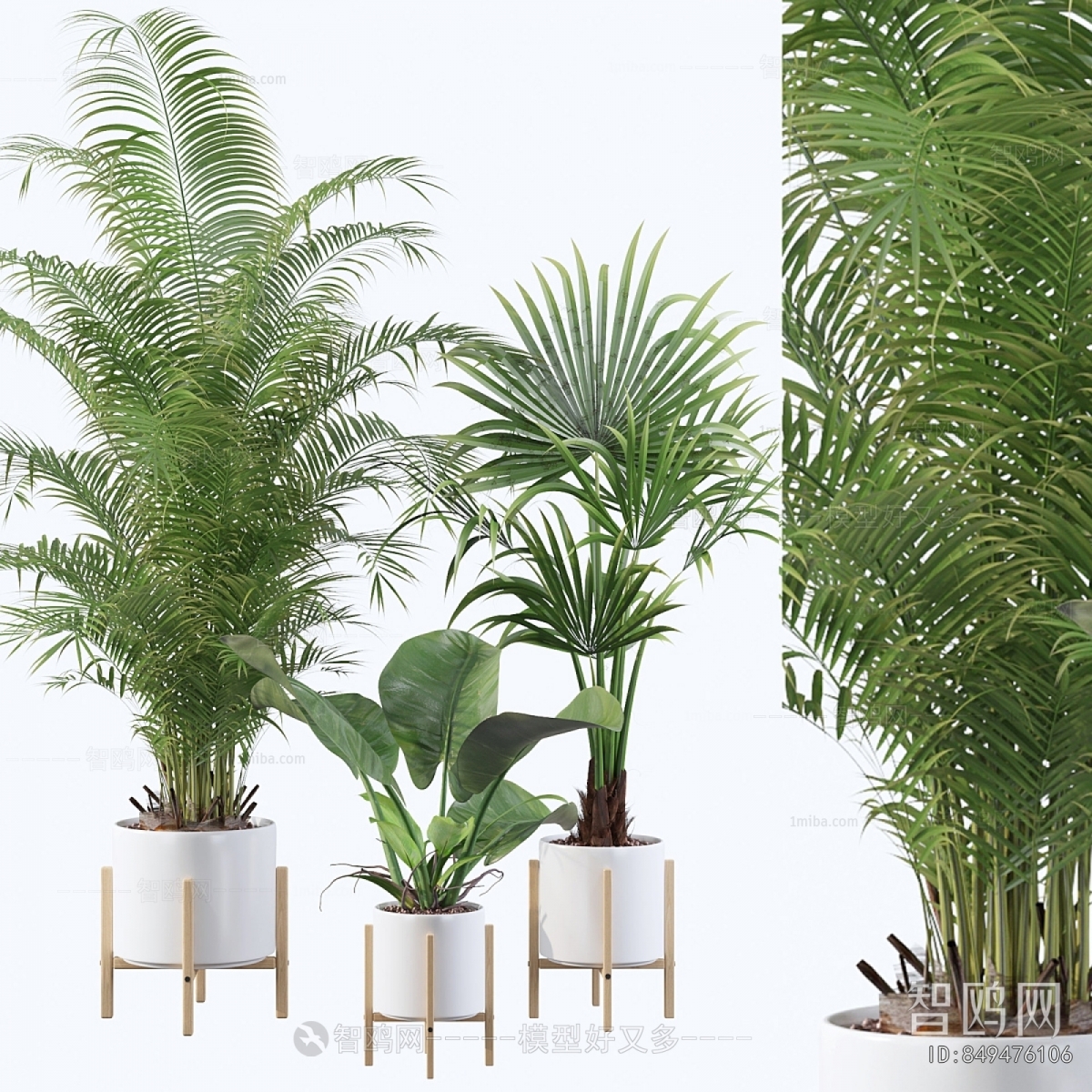 Modern Ground Green Plant Potted Plants