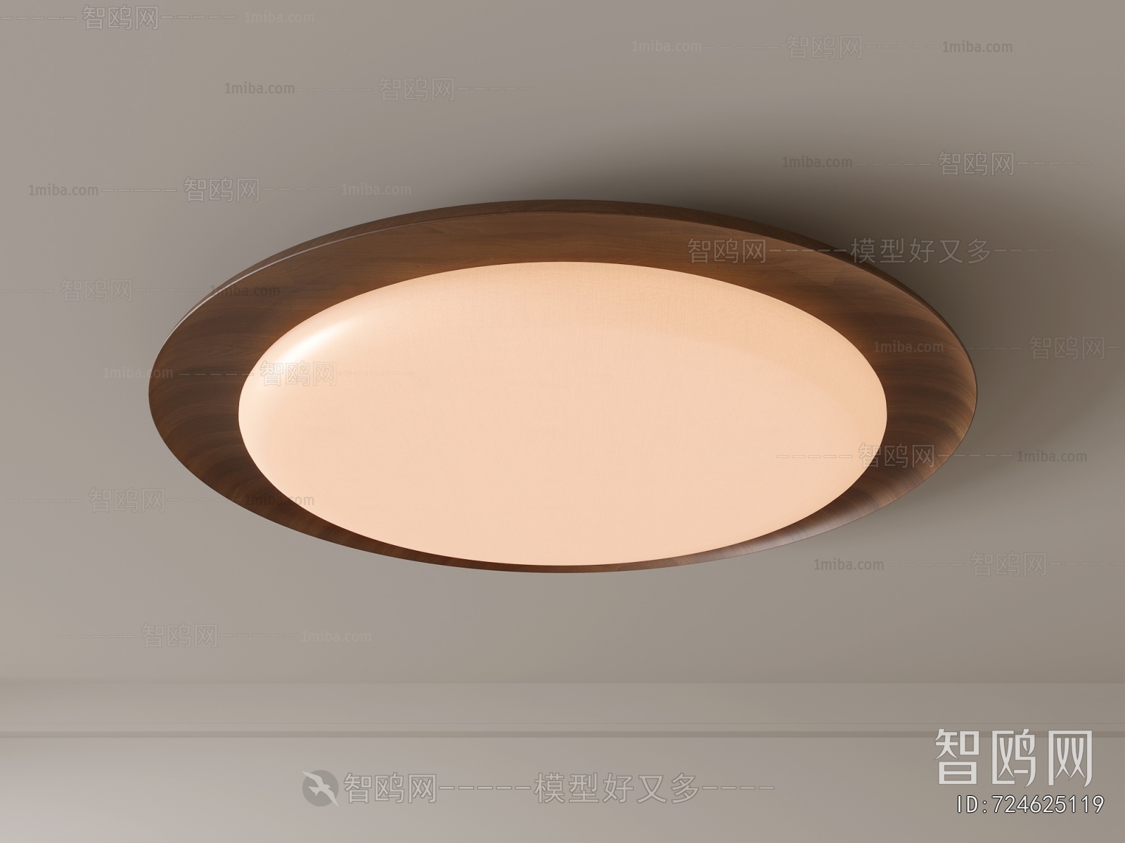 Modern Ceiling Ceiling Lamp