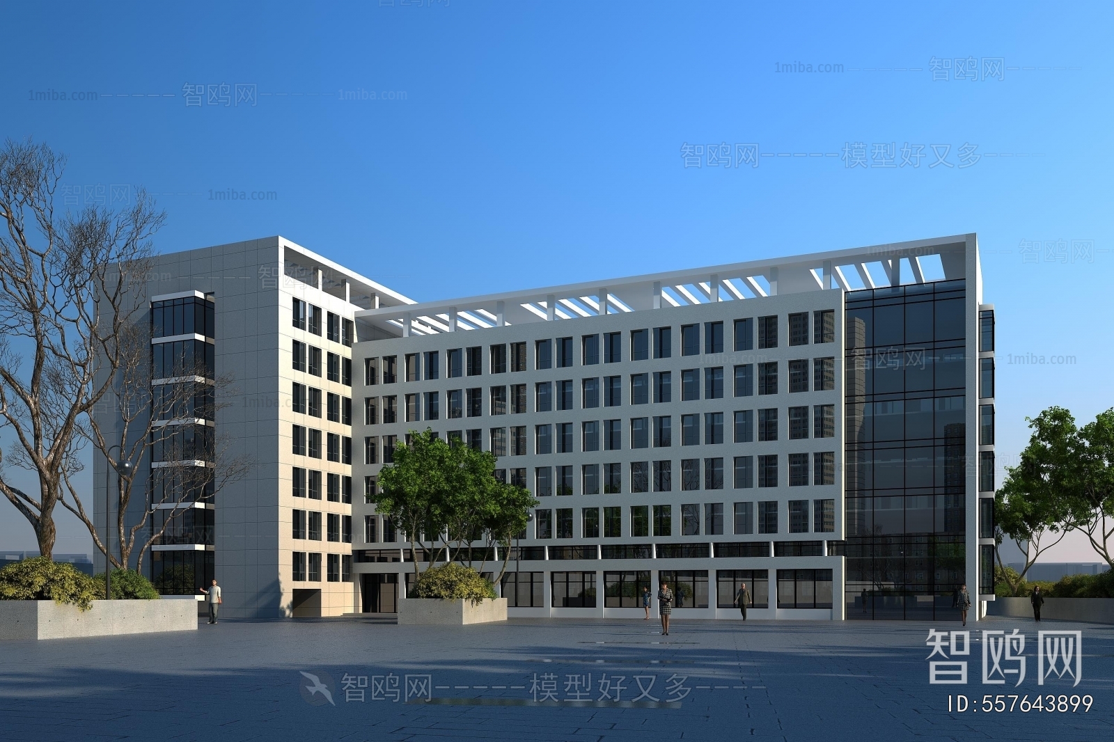 Modern School Building