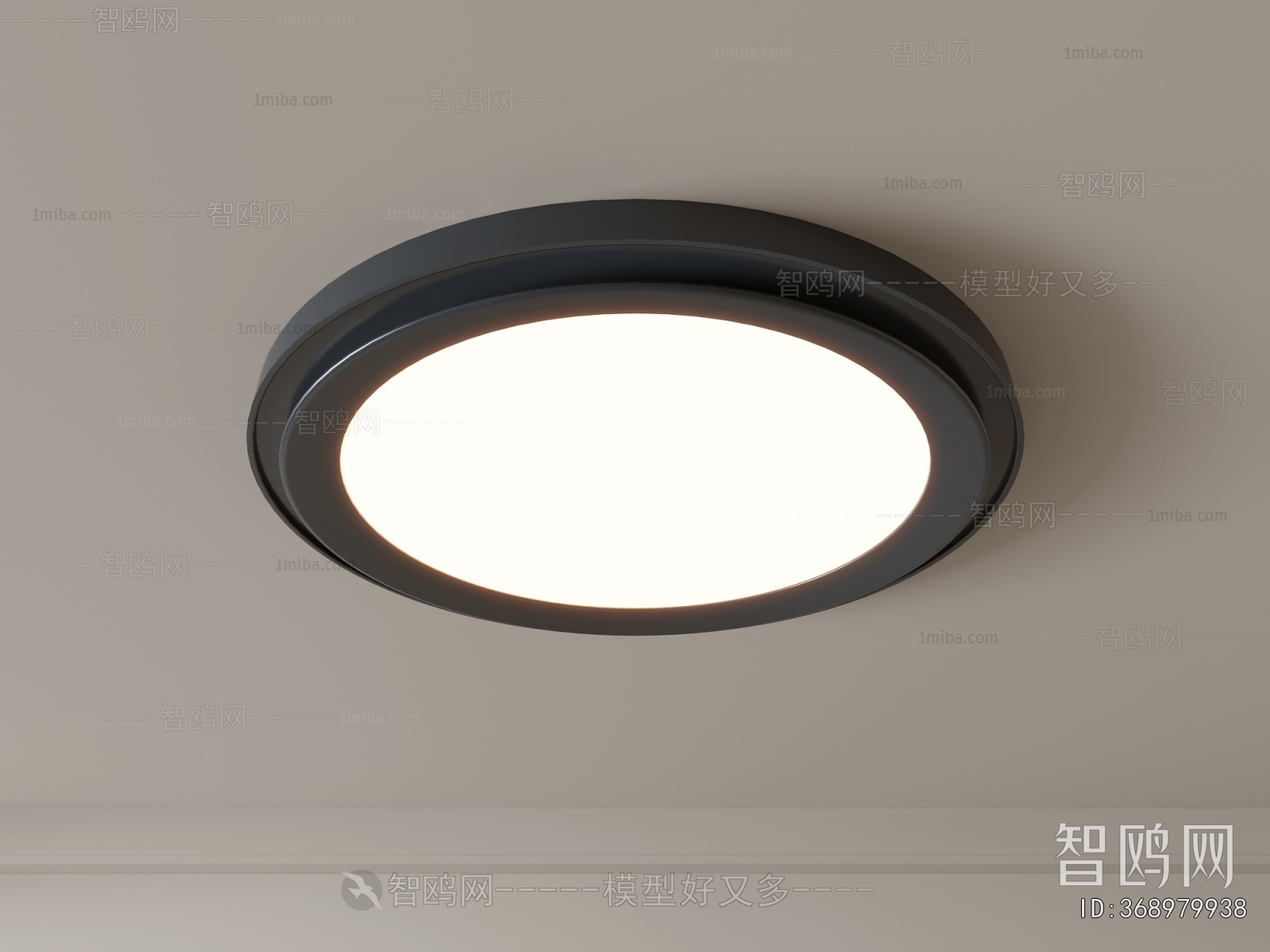 Modern Ceiling Ceiling Lamp