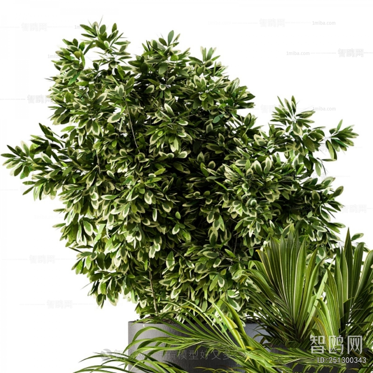 Modern Ground Green Plant Potted Plants