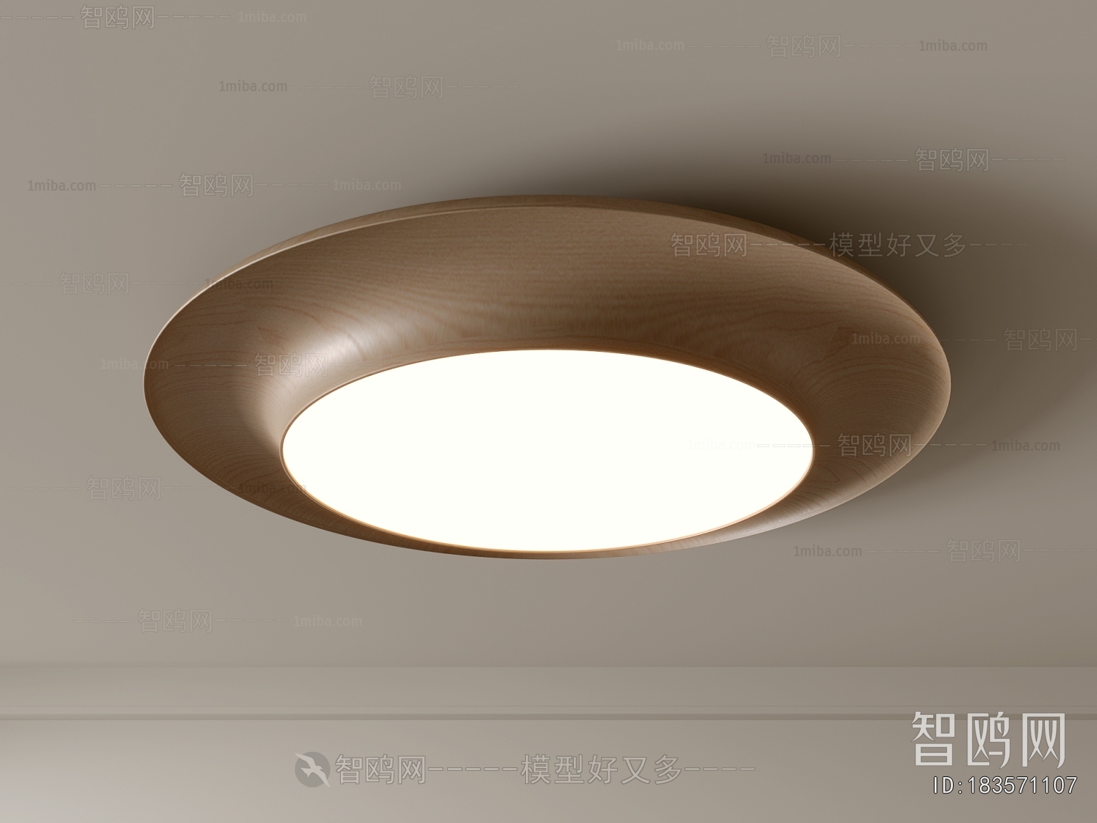 Modern Ceiling Ceiling Lamp
