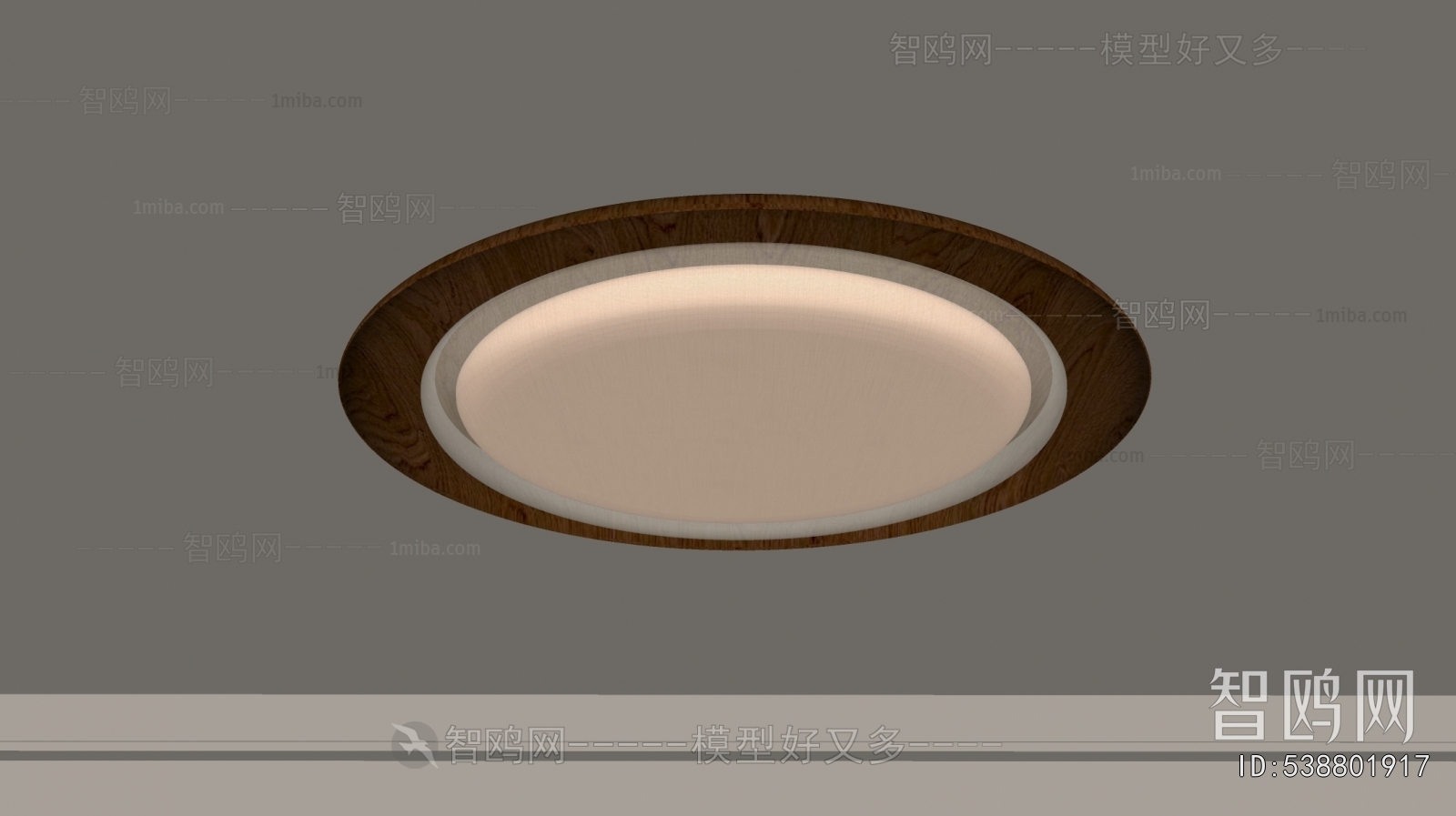 Modern Ceiling Ceiling Lamp