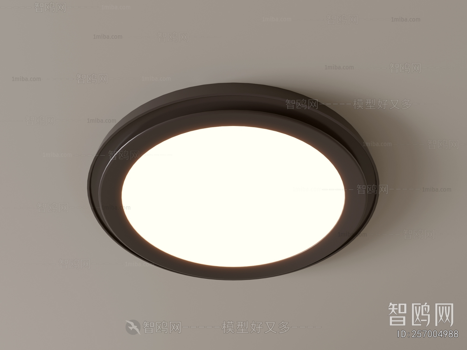 Modern Ceiling Ceiling Lamp