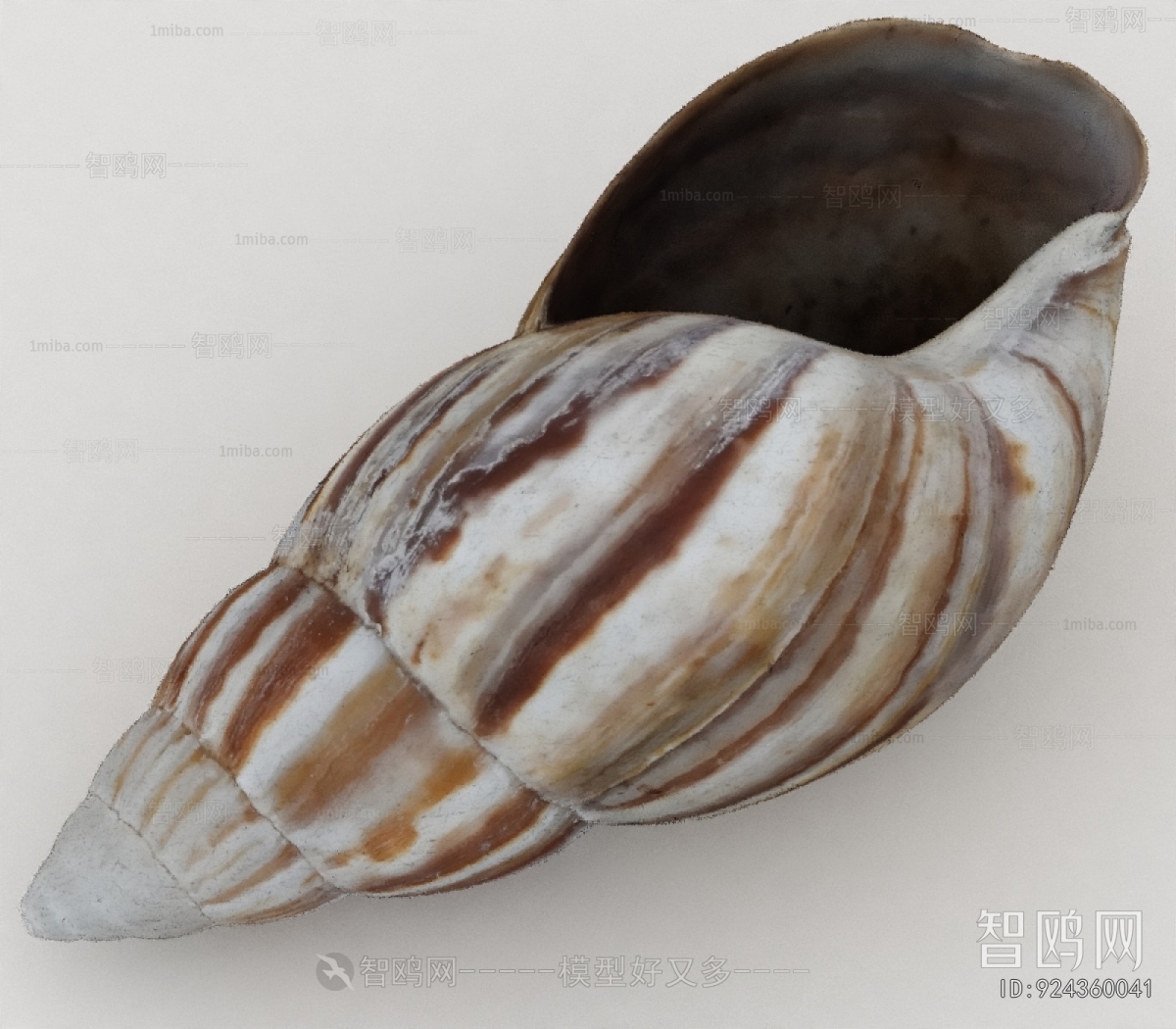 Modern Aquatic Animals