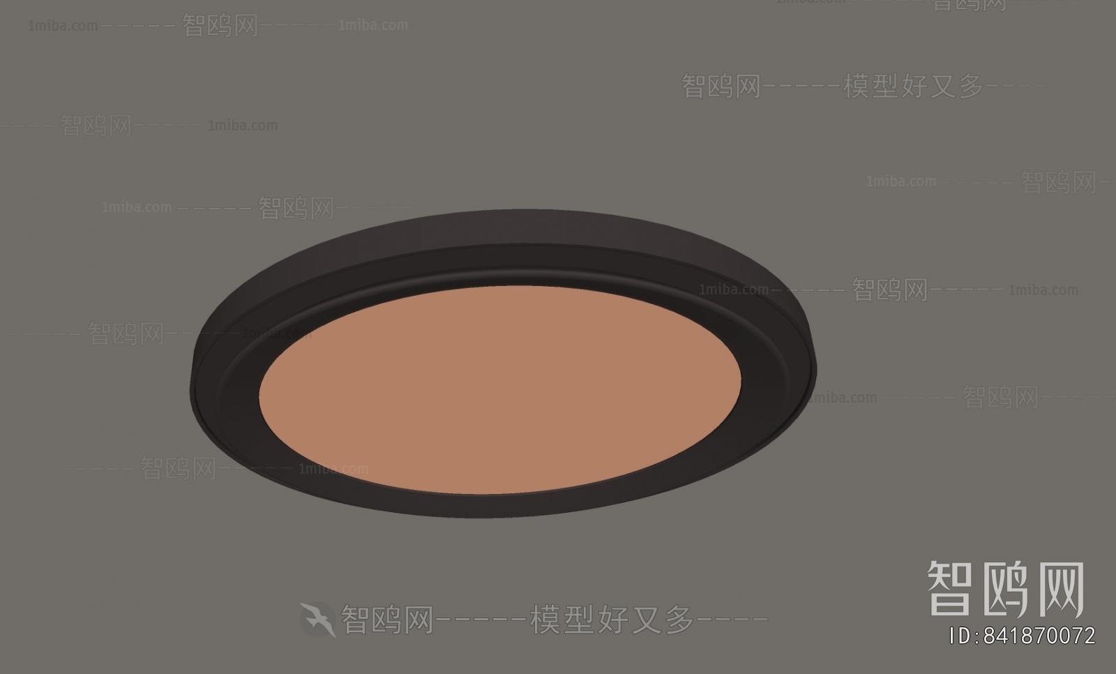 Modern Ceiling Ceiling Lamp