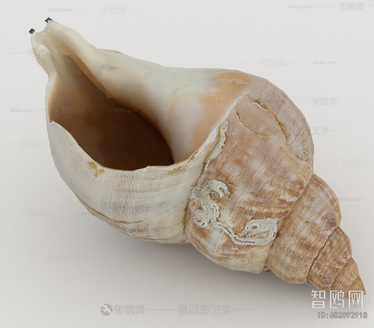 Modern Aquatic Animals