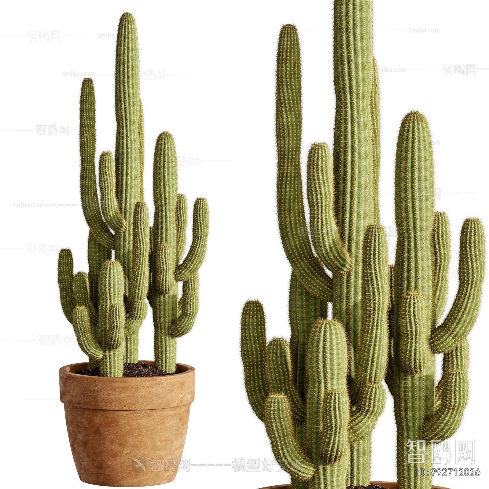 Modern Potted Green Plant