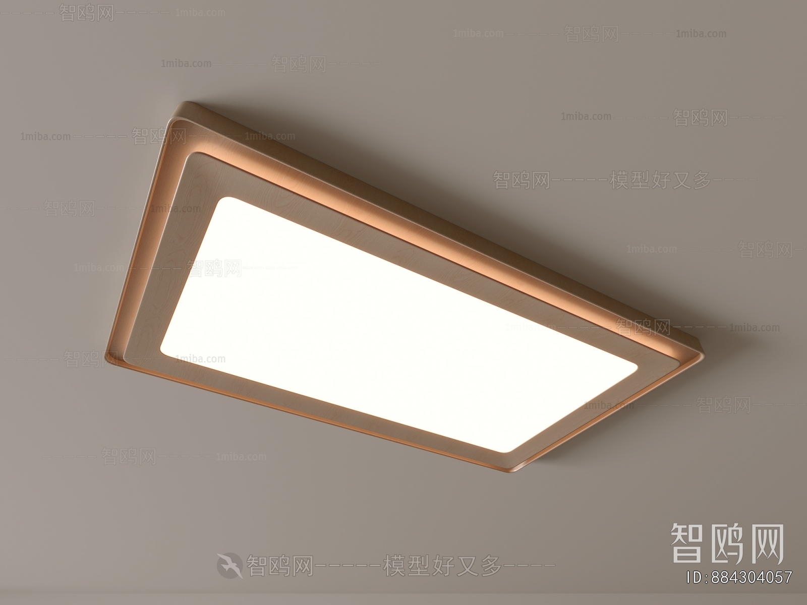 Modern Ceiling Ceiling Lamp