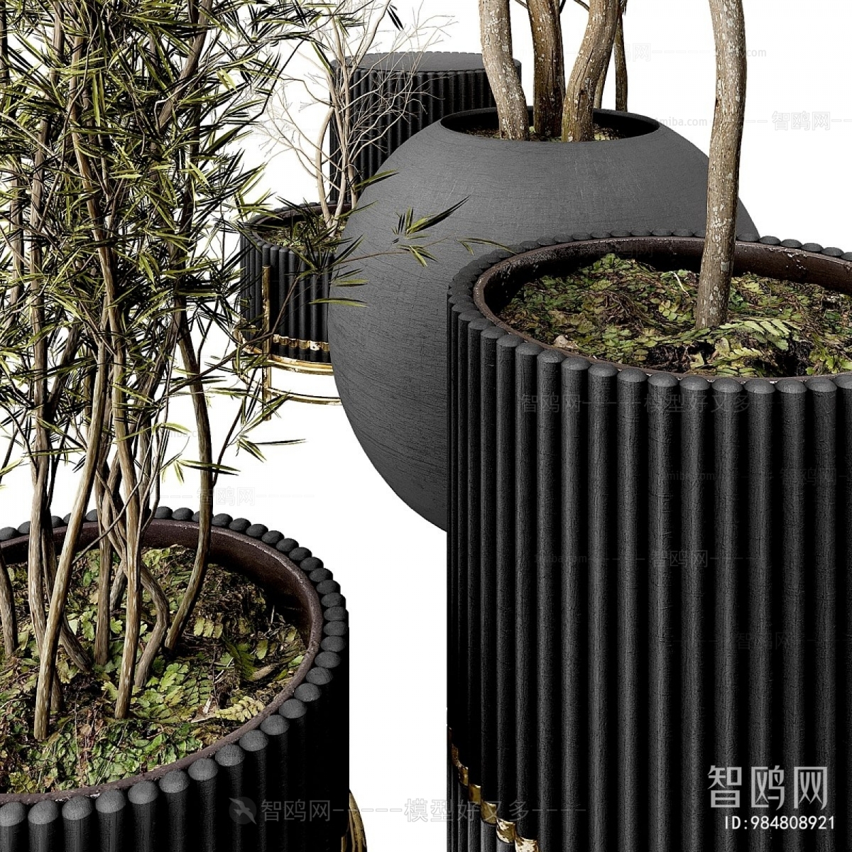 Modern Ground Green Plant Potted Plants