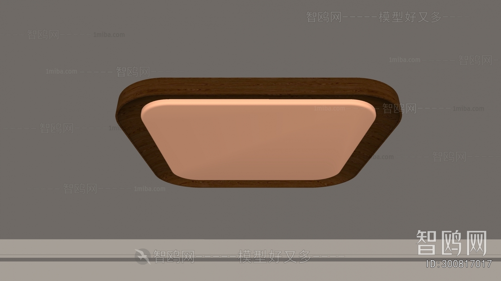 Modern Ceiling Ceiling Lamp