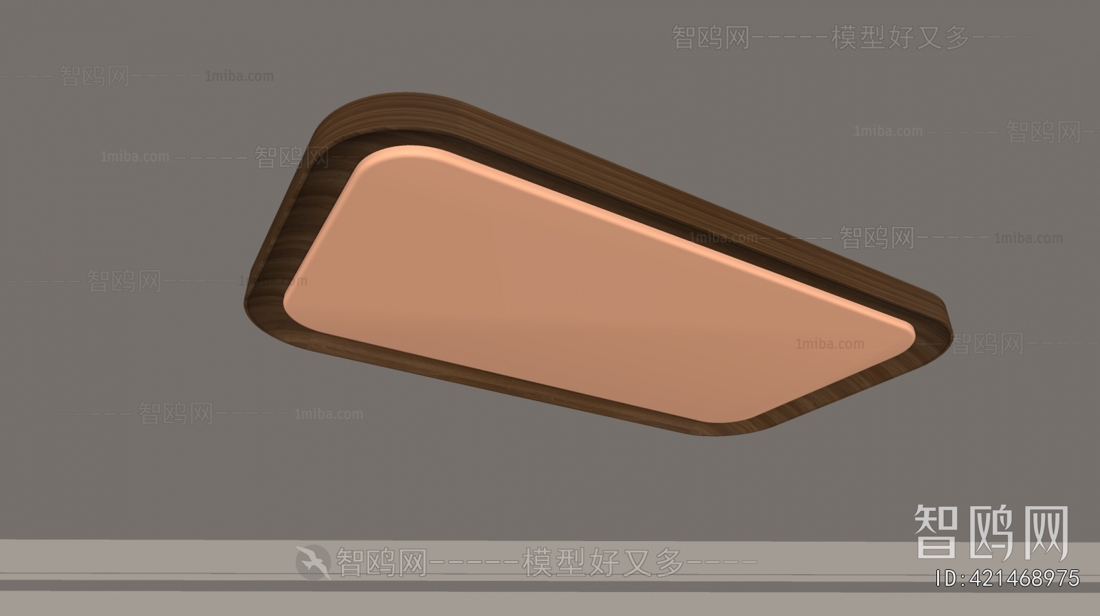 Modern Ceiling Ceiling Lamp