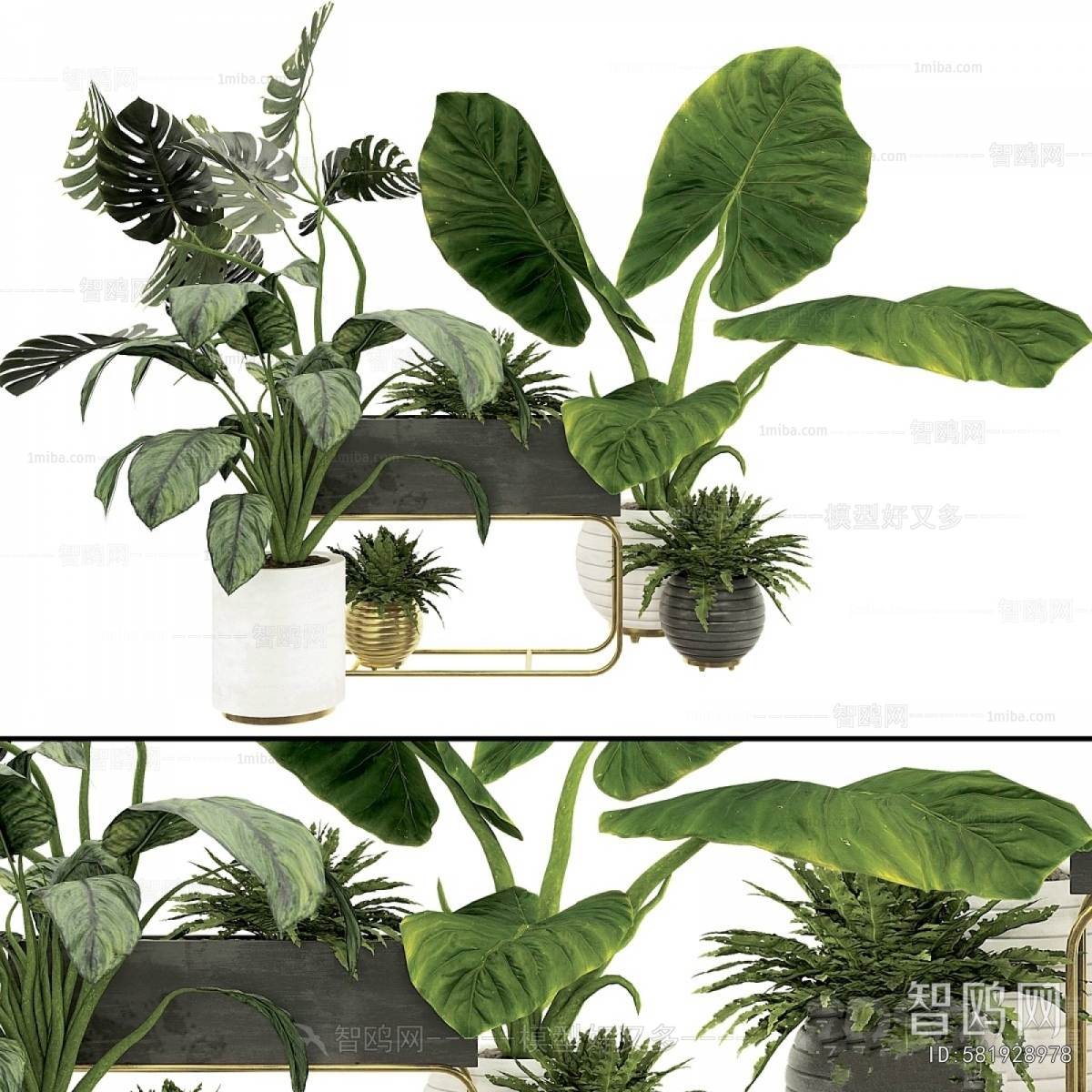 Modern Potted Green Plant