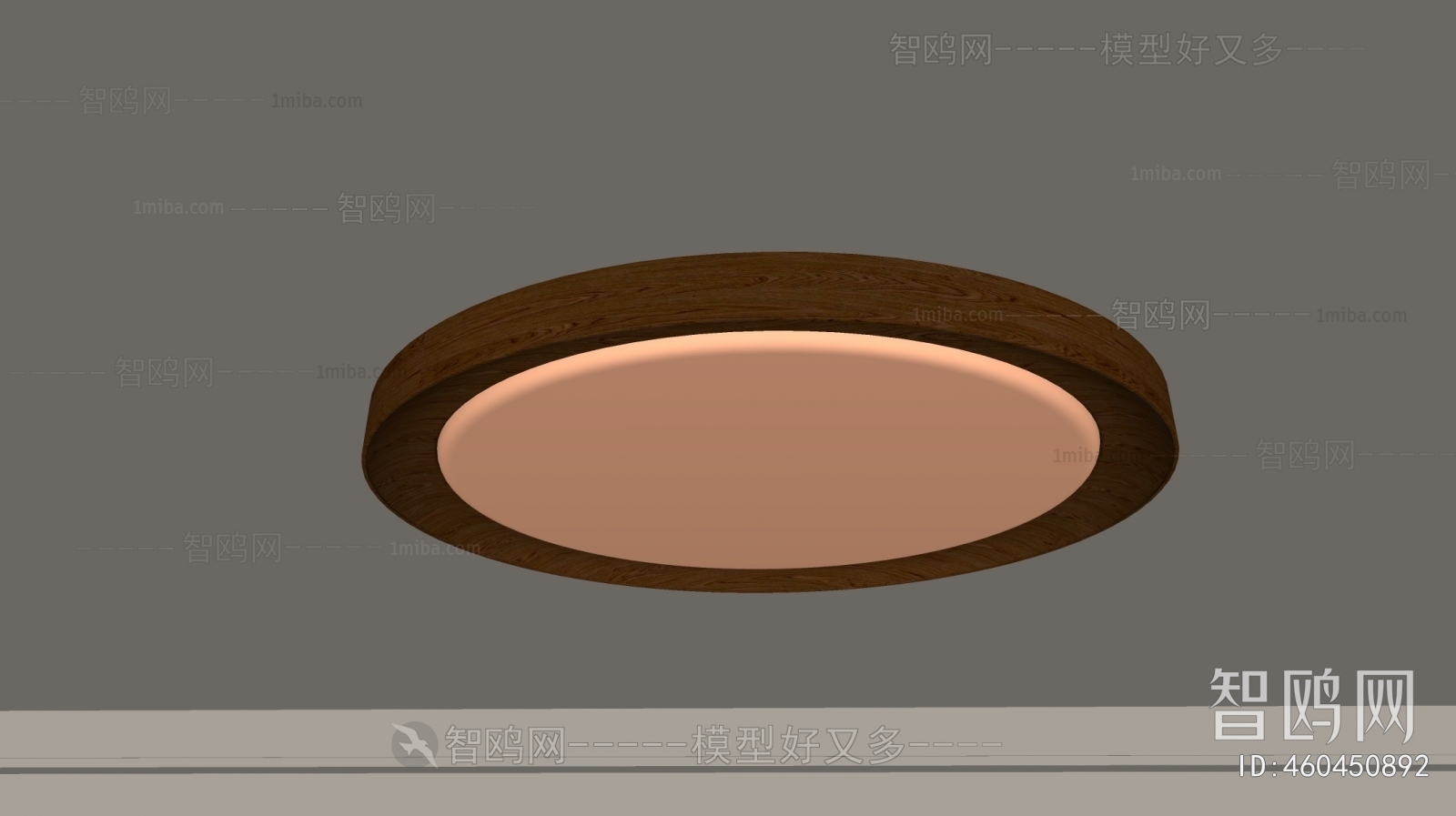 Modern Ceiling Ceiling Lamp