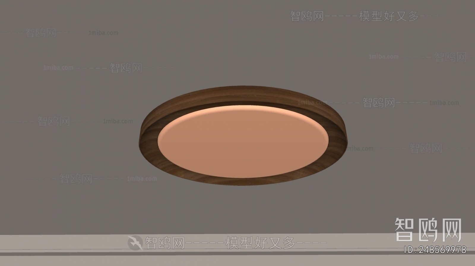 Modern Ceiling Ceiling Lamp