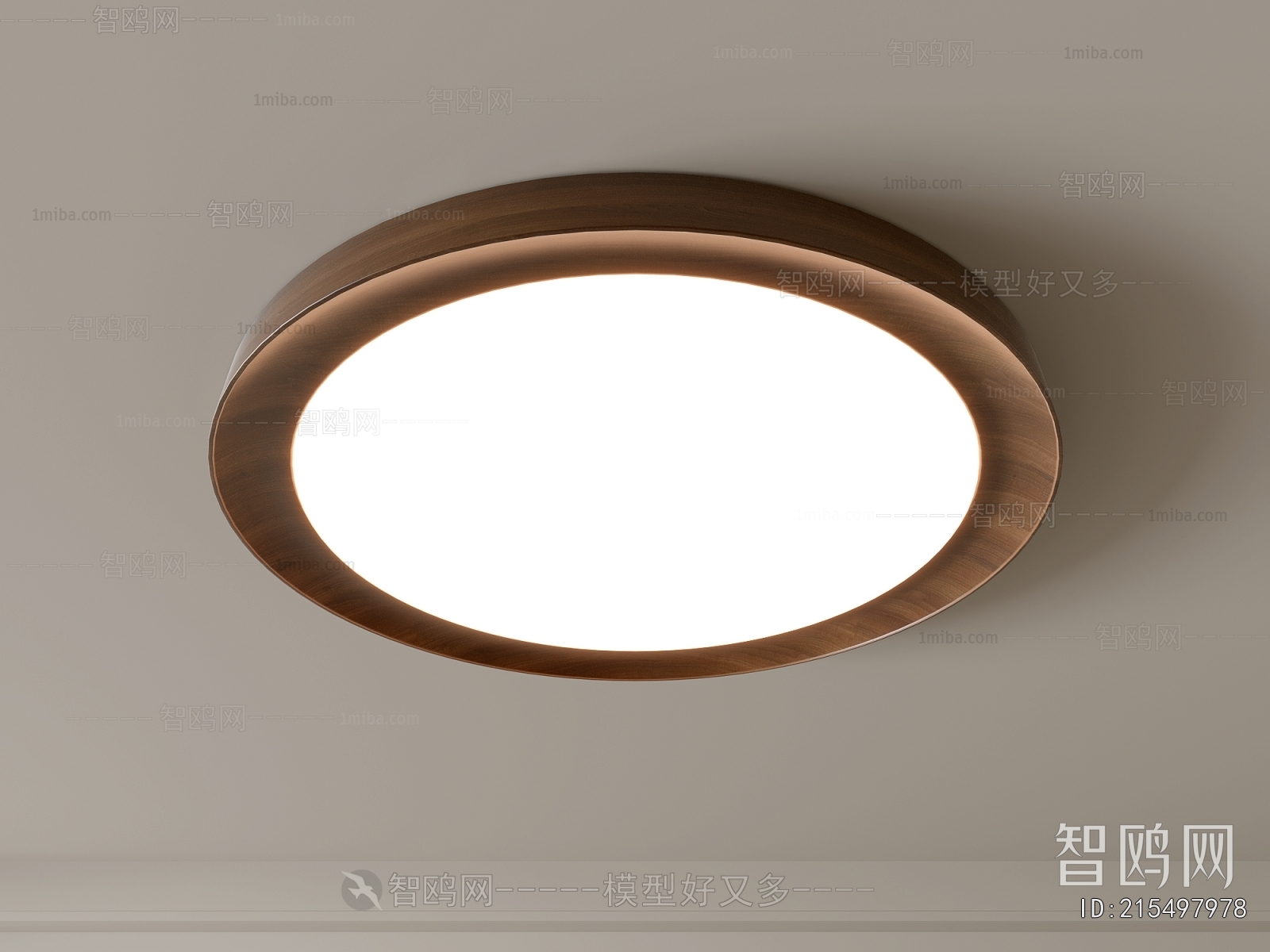 Modern Ceiling Ceiling Lamp