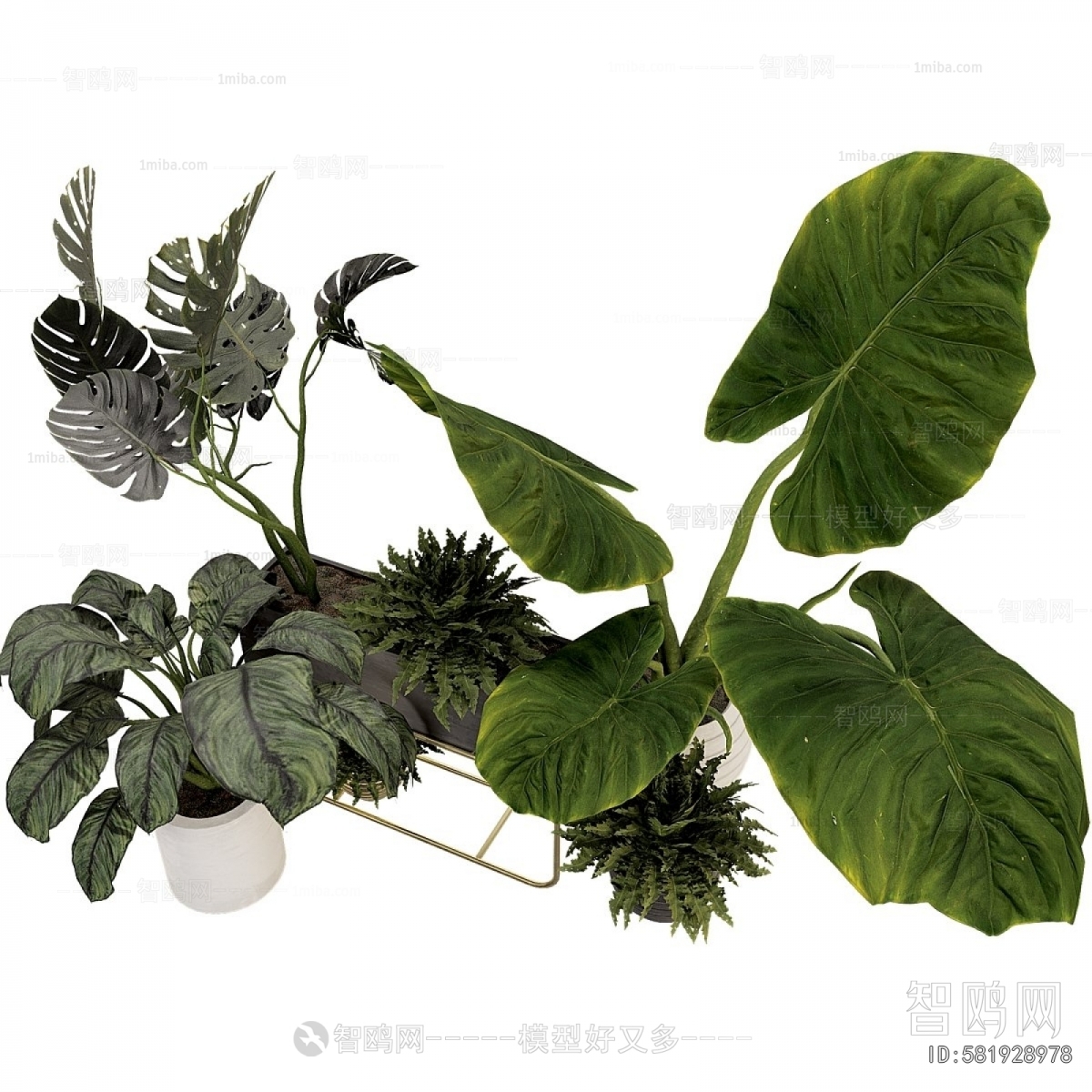 Modern Potted Green Plant