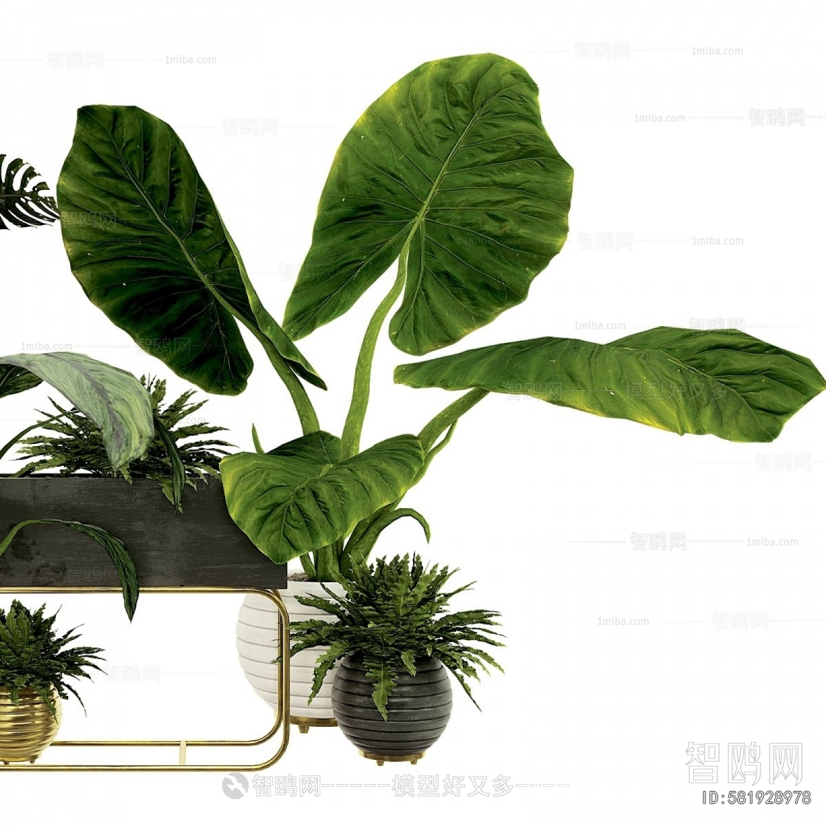 Modern Potted Green Plant