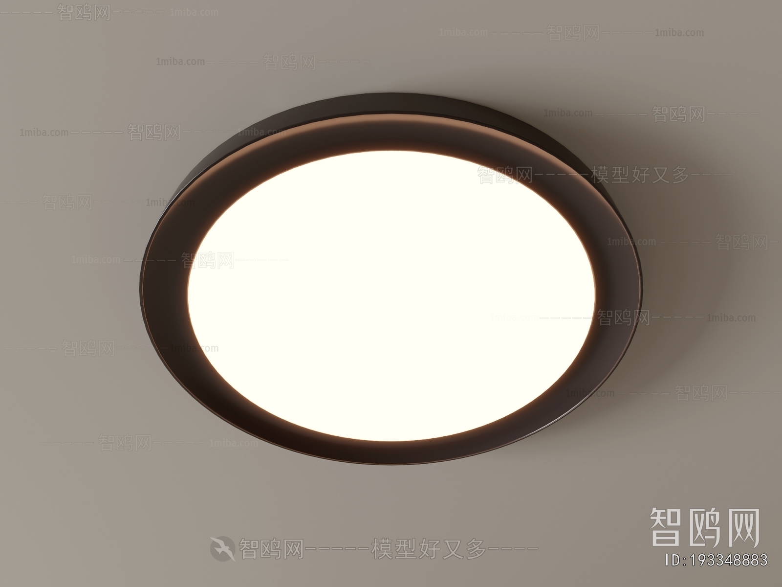 Modern Ceiling Ceiling Lamp
