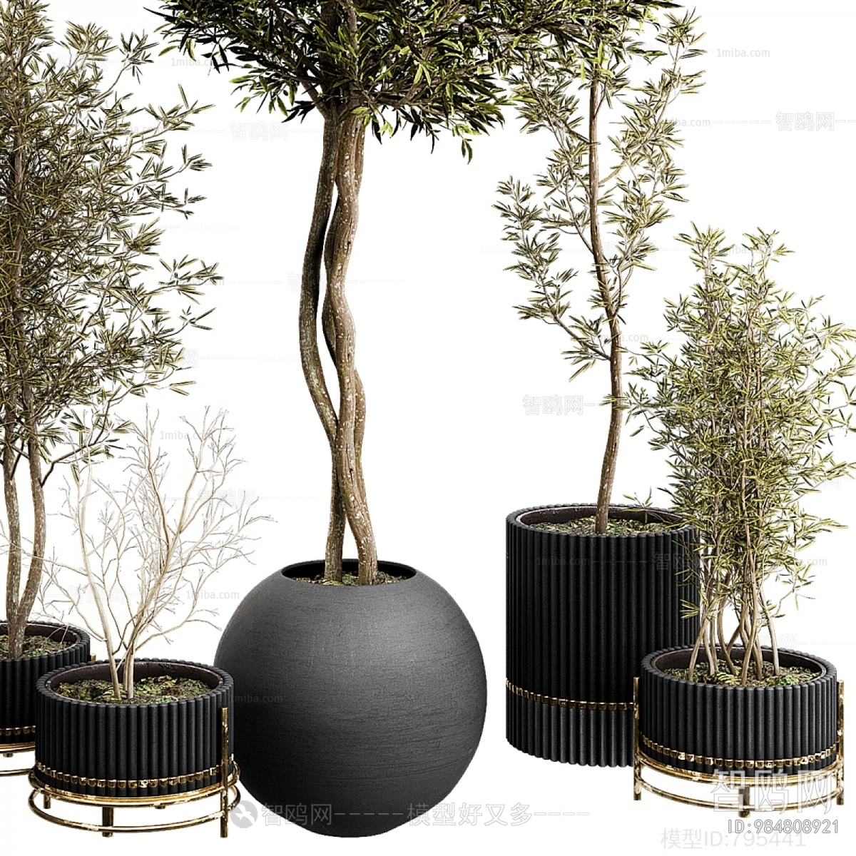 Modern Ground Green Plant Potted Plants