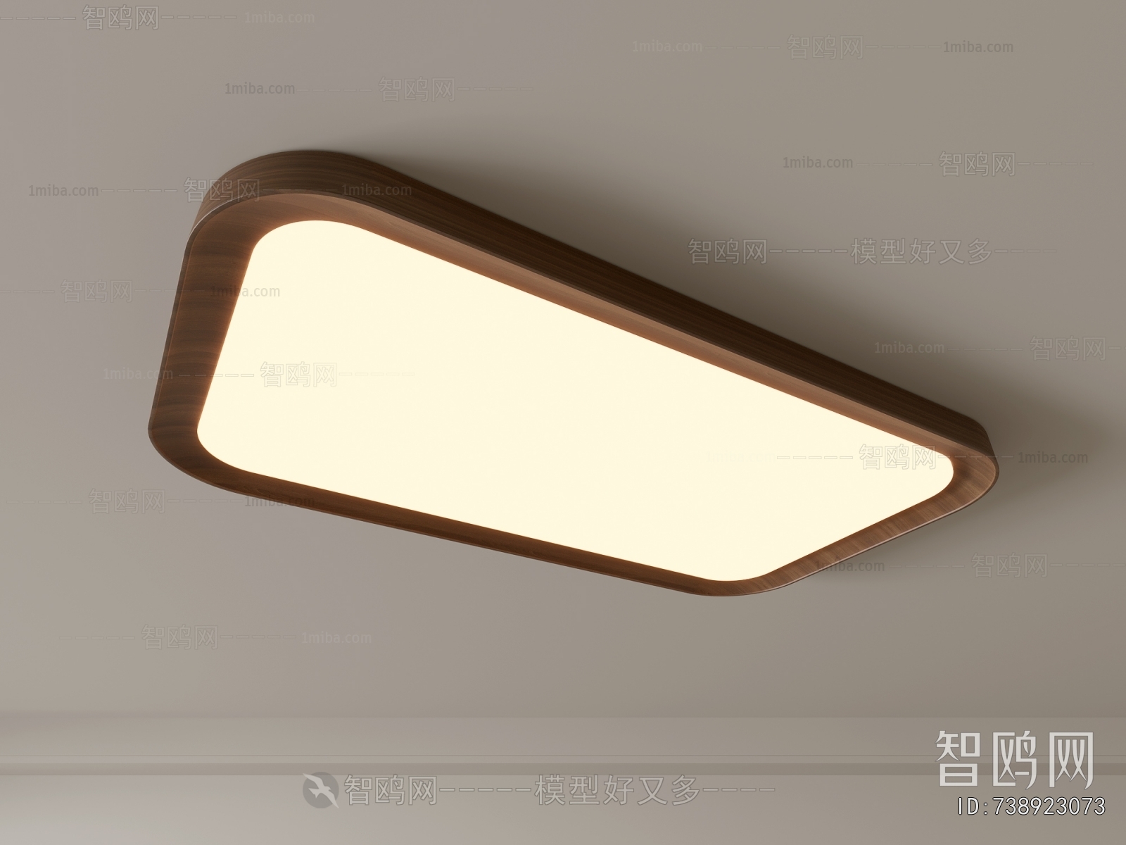 Modern Ceiling Ceiling Lamp