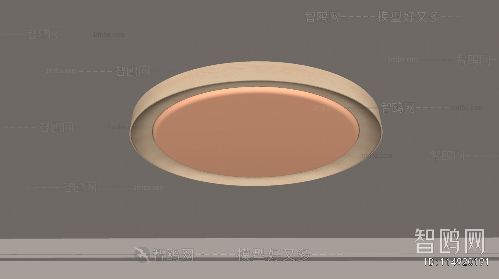 Modern Ceiling Ceiling Lamp