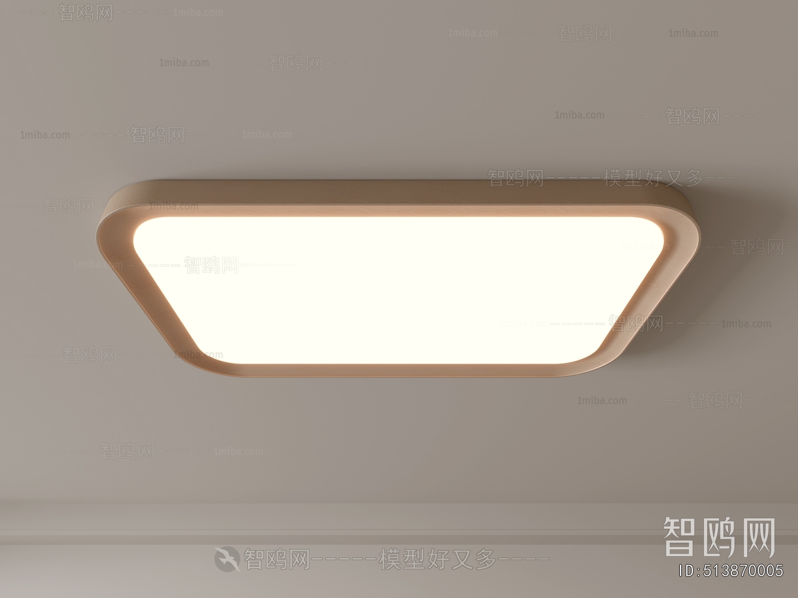 Modern Ceiling Ceiling Lamp