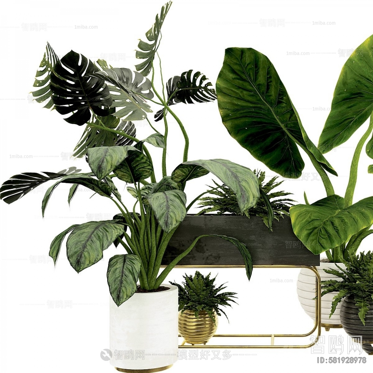 Modern Potted Green Plant