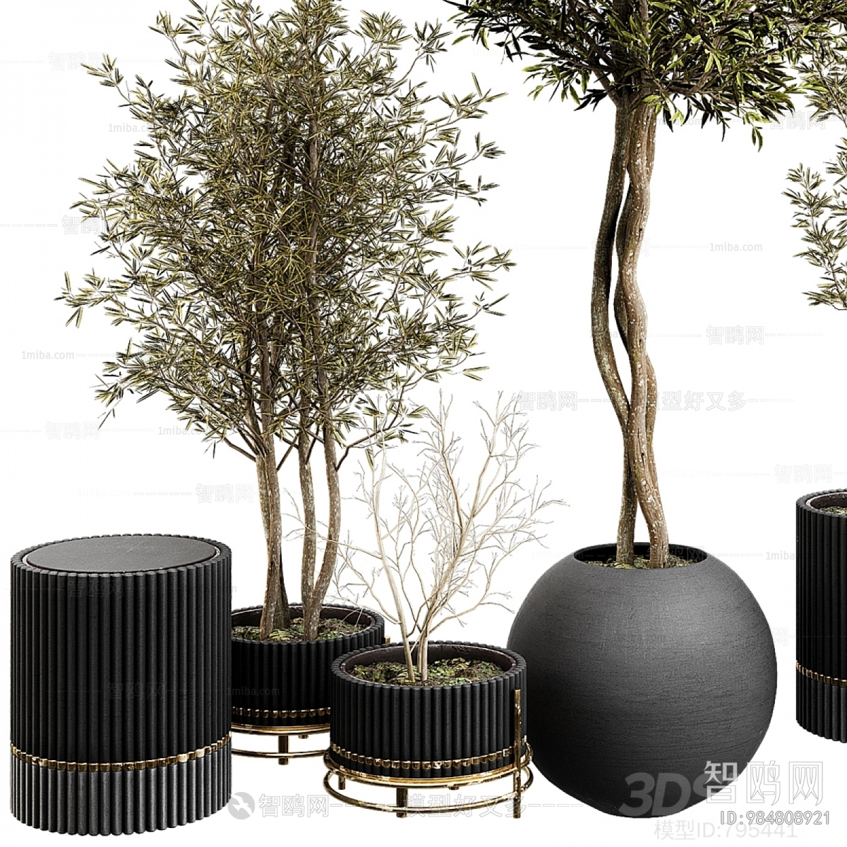 Modern Ground Green Plant Potted Plants