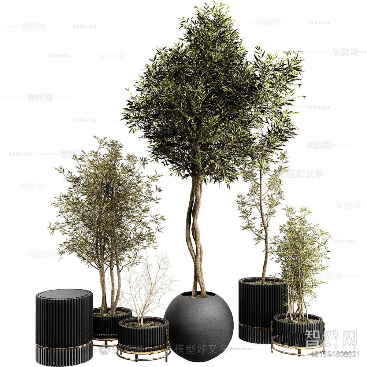 Modern Ground Green Plant Potted Plants