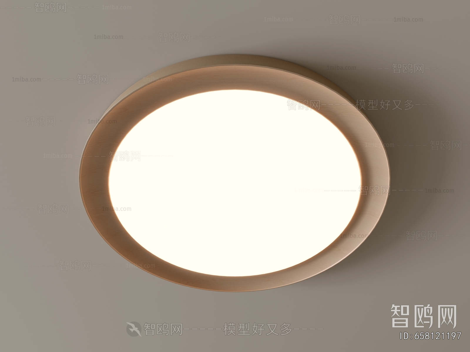Modern Ceiling Ceiling Lamp